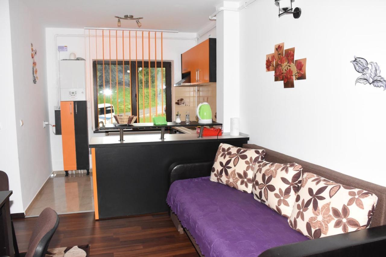 Hotel Apartament Eldya Comfort&Suites Predeal Exteriör bild