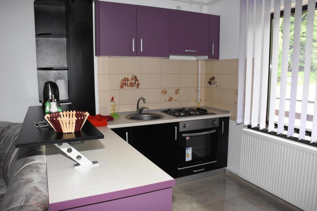 Hotel Apartament Eldya Comfort&Suites Predeal Exteriör bild